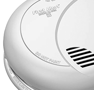 Smoke Detector Cameras